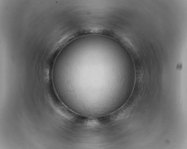 X0000091640262200709060944