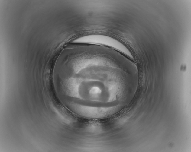 X0000091640263200709060944