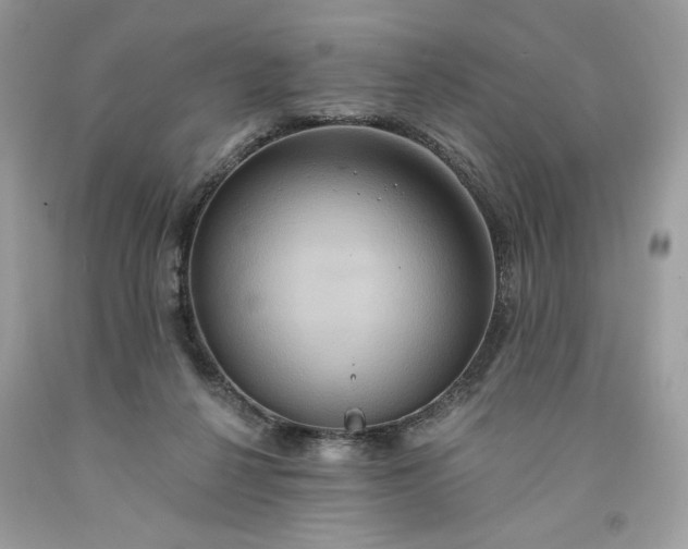 X0000091640264200709060944
