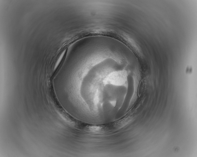 X0000091640265200709060944