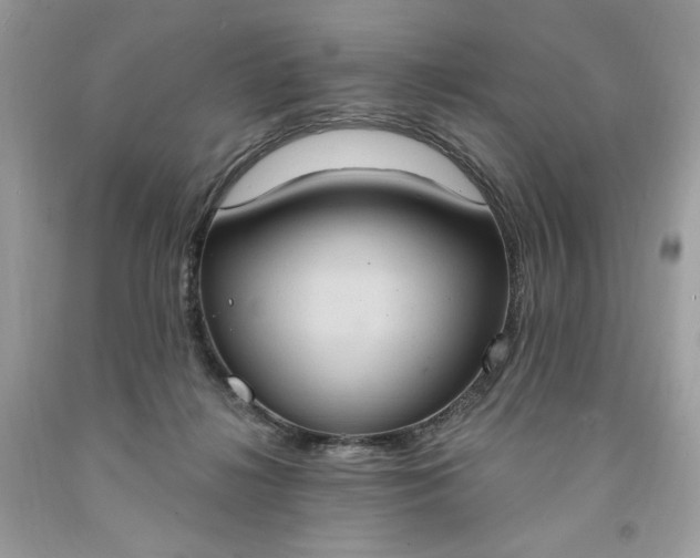 X0000091640268200709060944