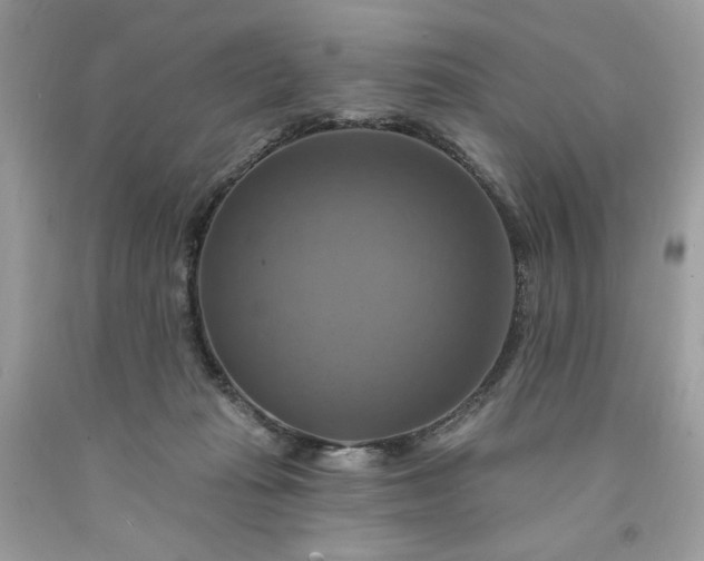 X0000091640269200709060944