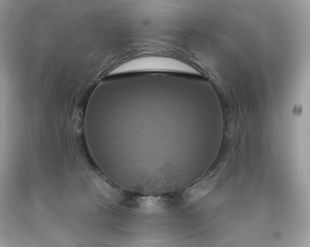 X0000091640273200709060944