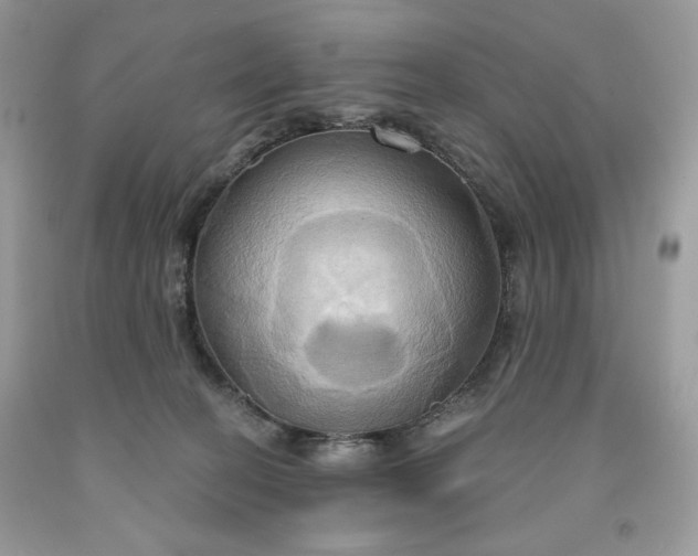 X0000091640274200709060944