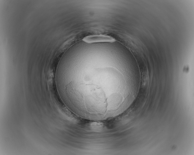X0000091640279200709060944