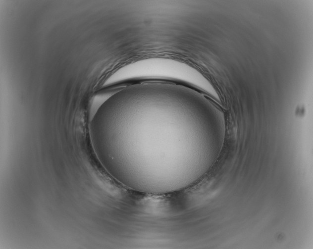 X0000091640280200709060944