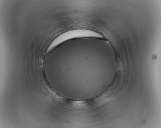 X0000091640281200709060944