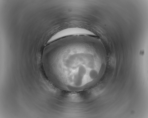 X0000091640283200709060944