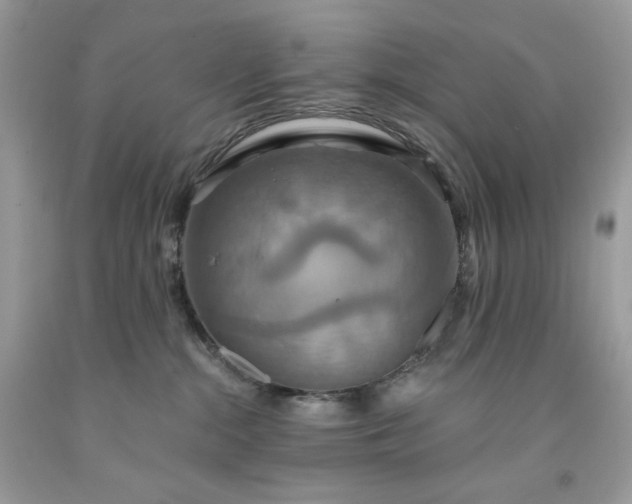 X0000091640284200709060944