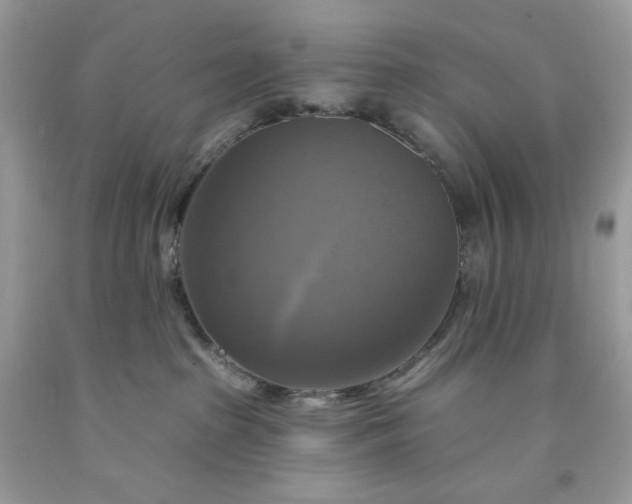 X0000091640285200709060944