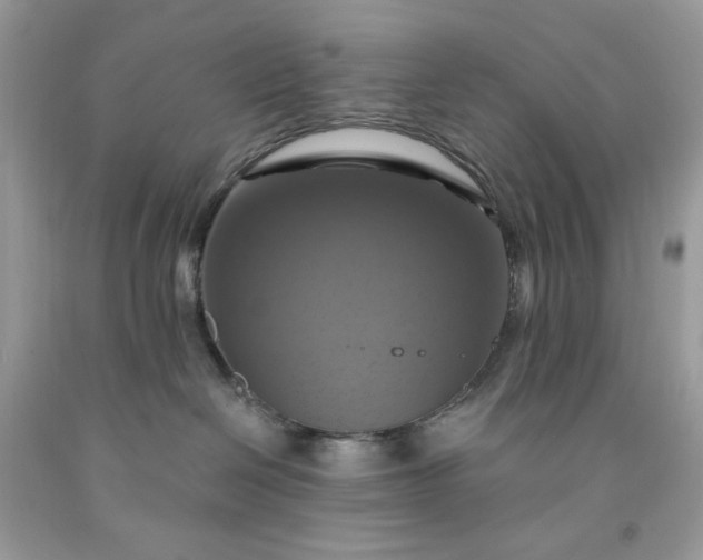 X0000091640286200709060944