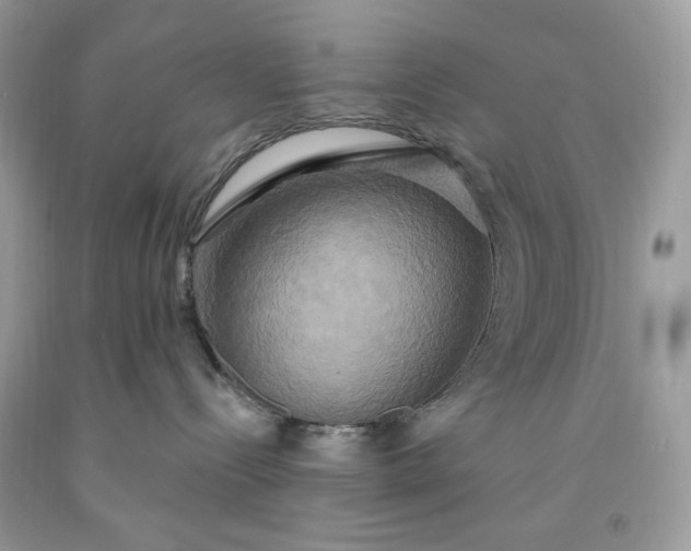 X0000091640288200709060944