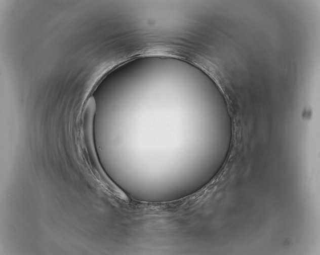 X0000091640289200709060943