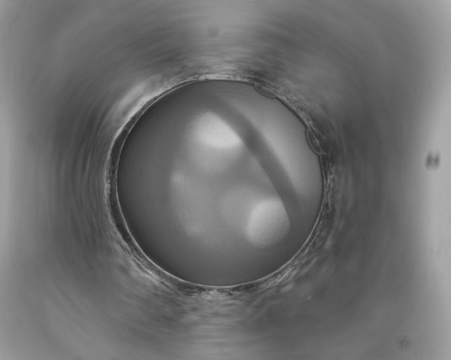 X0000091640290200709060943