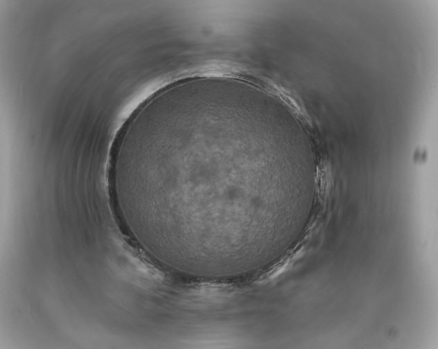 X0000091640292200709060943