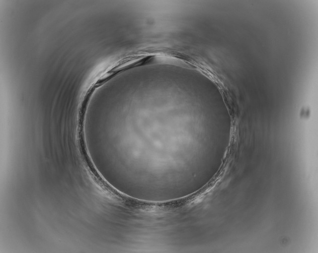 X0000091640293200709060943