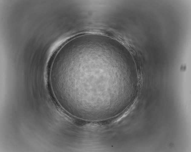 X0000091640294200709060943