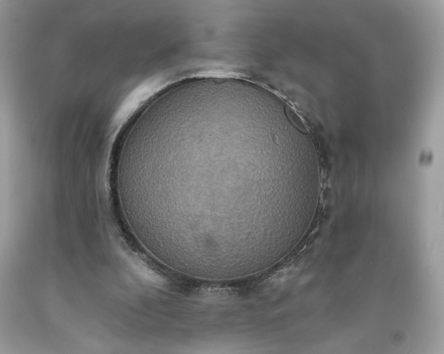 X0000091640296200709060943