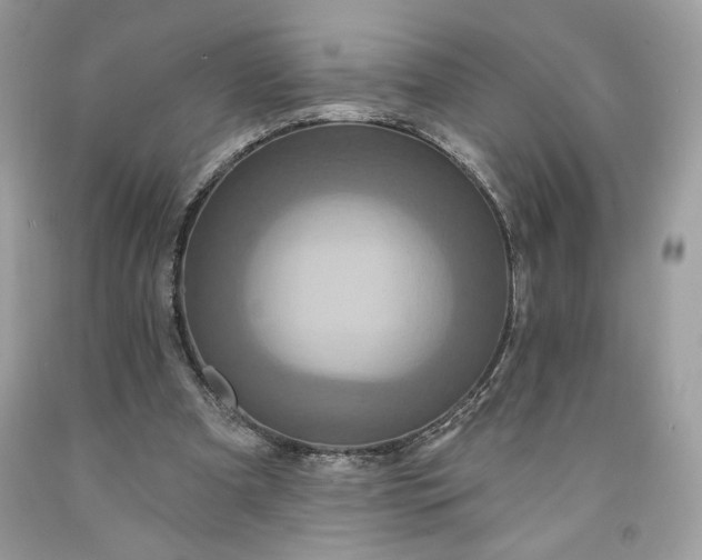 X0000091640297200709060943