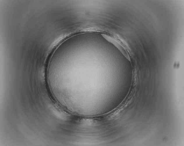 X0000091640298200709060943