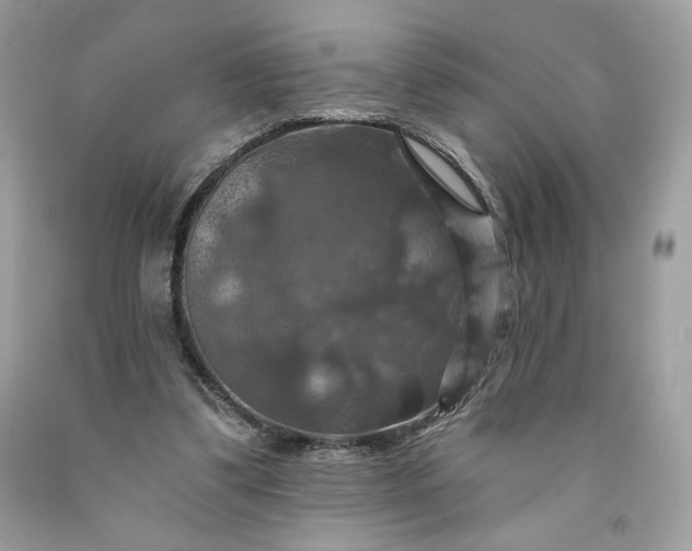 X0000091640299200709060943