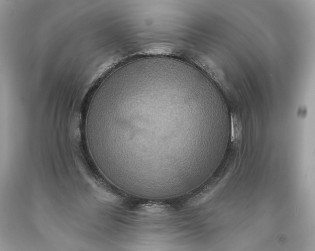 X0000091640300200709060943