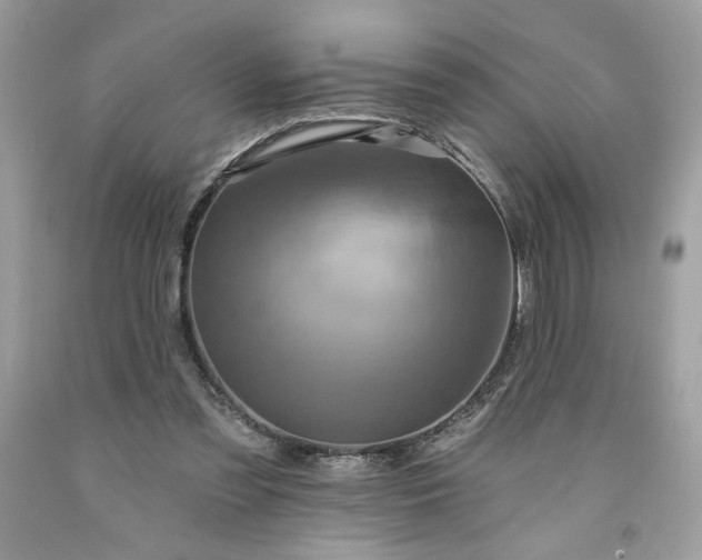 X0000091640301200709060943