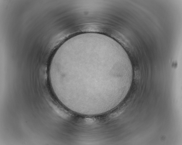 X0000091640302200709060943