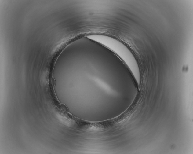 X0000091640303200709060943