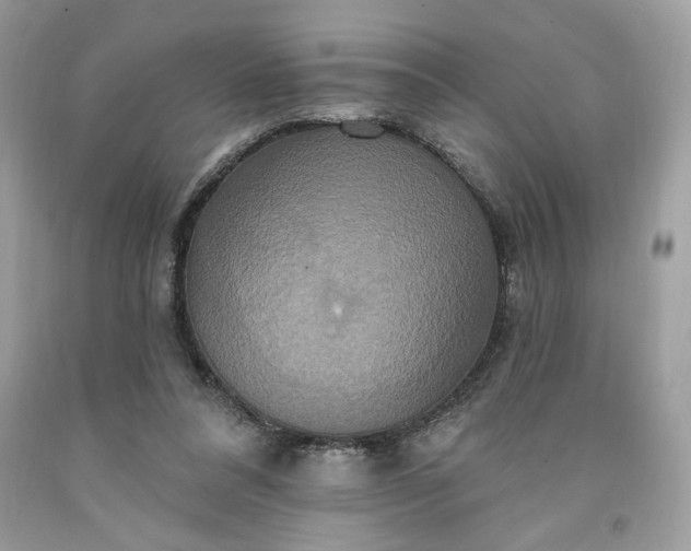 X0000091640304200709060943