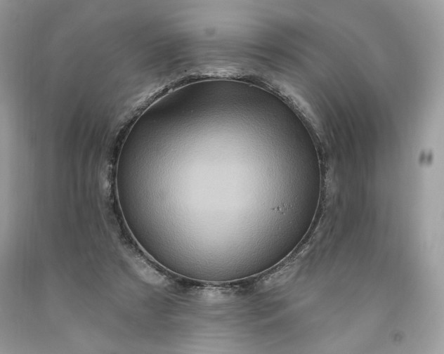 X0000091640305200709060943