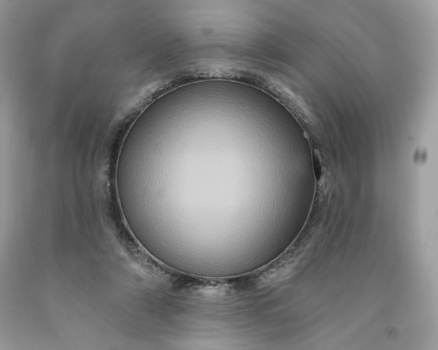 X0000091640306200709060943