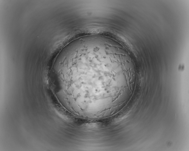 X0000091640307200709060943