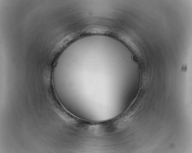 X0000091640309200709060943