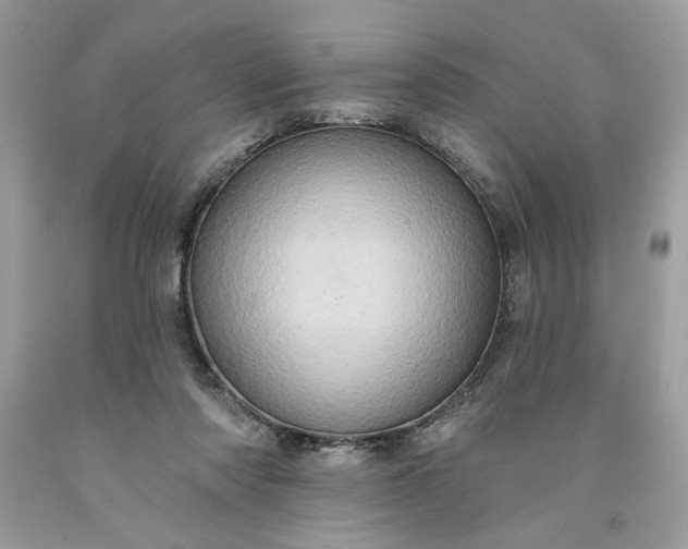 X0000091640310200709060943