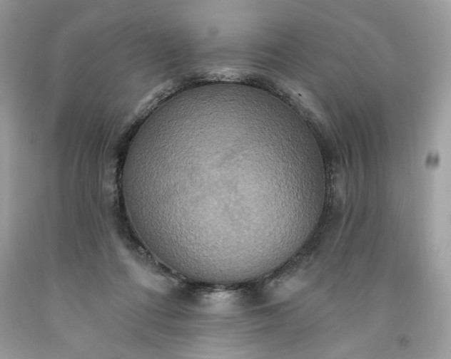 X0000091640312200709060943