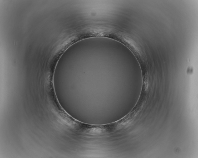 X0000091640314200709060943