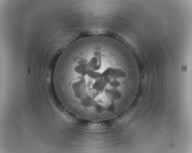 X0000091640315200709060943