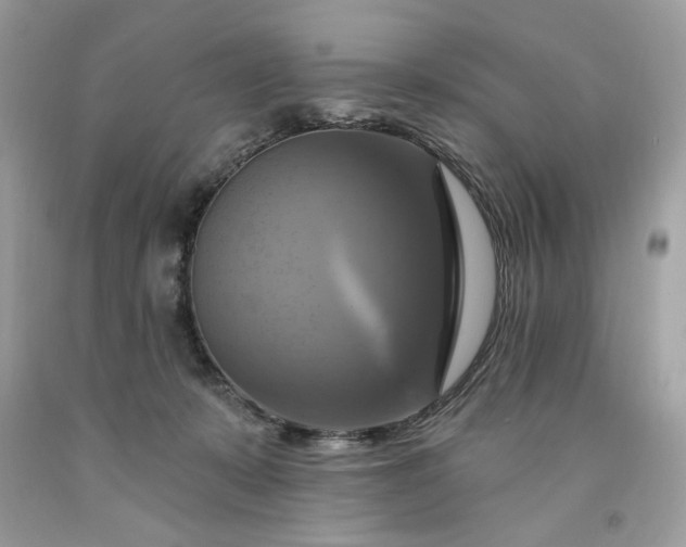X0000091640319200709060943