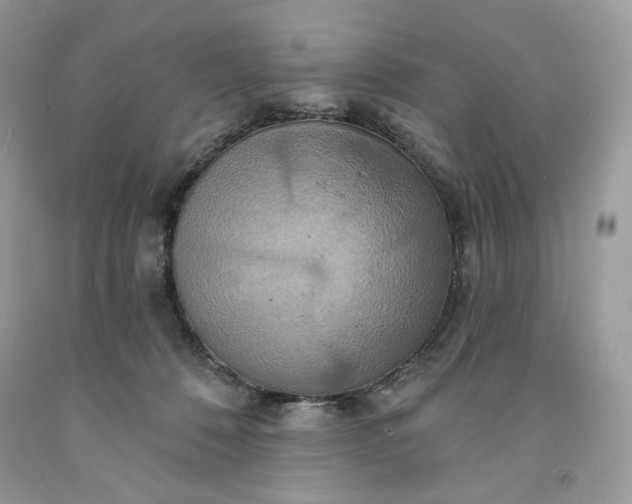 X0000091640320200709060943