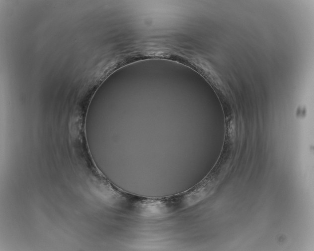 X0000091640322200709060943