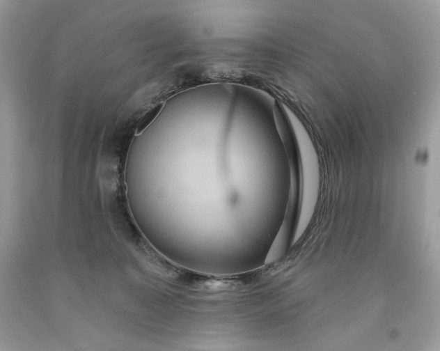 X0000091640323200709060943