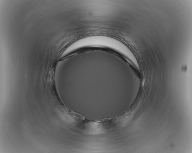 X0000091640325200709060943
