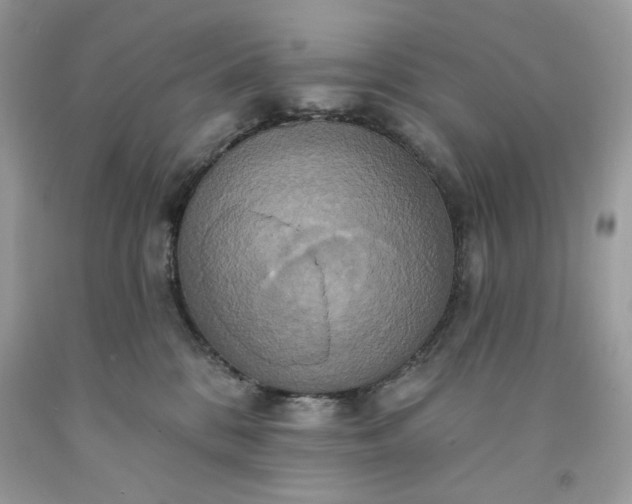 X0000091640328200709060943
