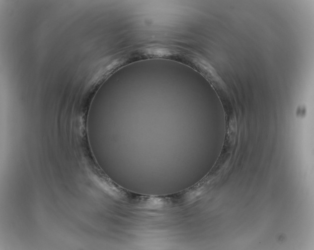 X0000091640330200709060943
