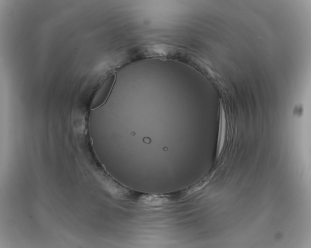 X0000091640331200709060943