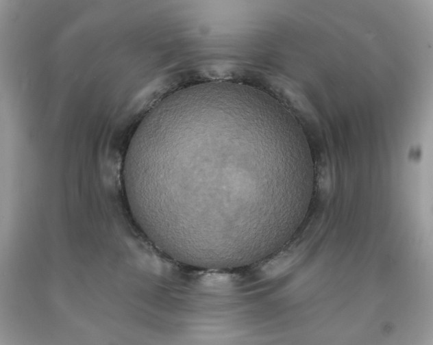 X0000091640332200709060943