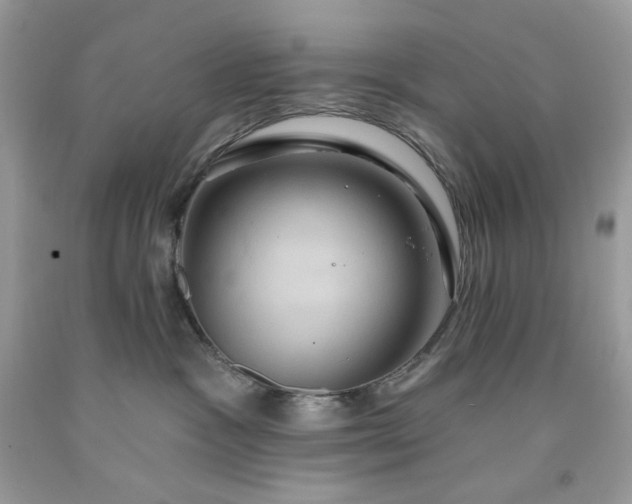 X0000091640333200709060943