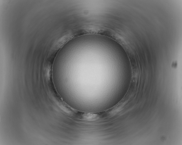 X0000091640334200709060943