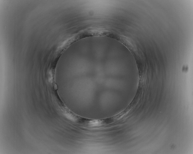 X0000091640335200709060943